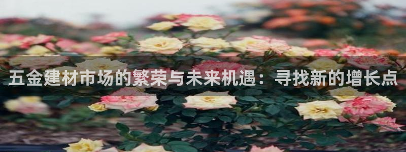 云顶国际网站是多少
