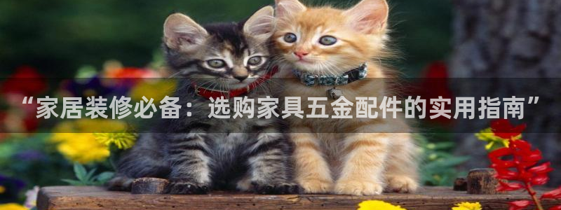 云顶集团APP下载