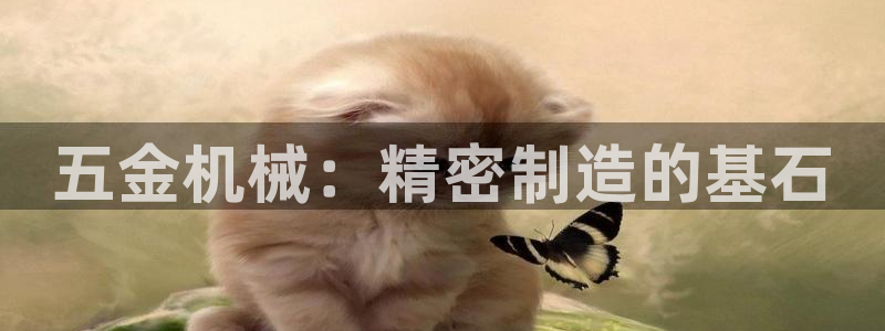 云顶集团林东简介