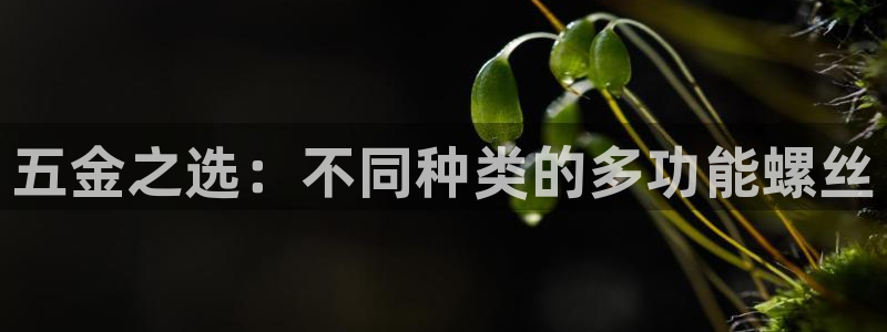 云顶国际服什么时候更新s9
