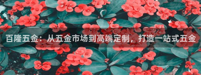 云顶集团有限公司