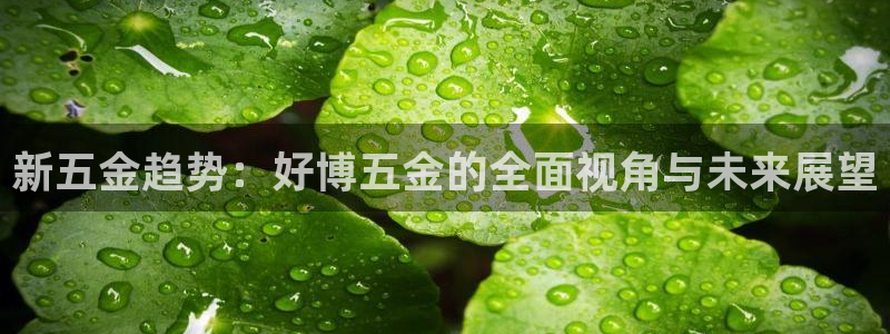 yd2333云顶贵宾会