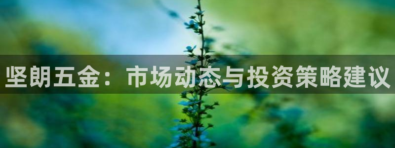 云顶集团林志华简介