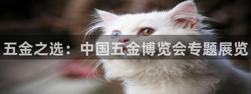 云顶国际平台是黑平台吗知乎
