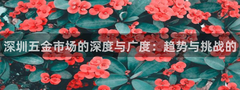 云顶国际服s10