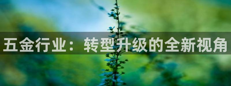 云顶集团游戏app