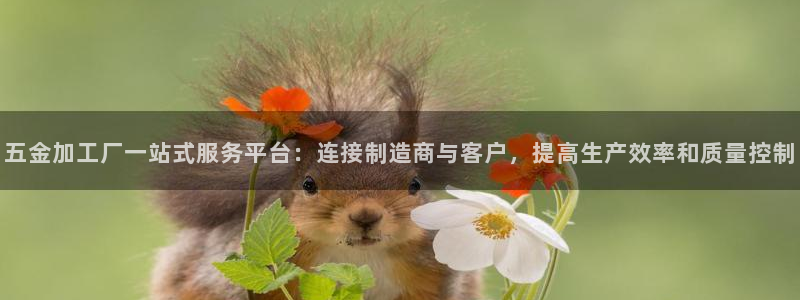 云顶国际测试服免费吗