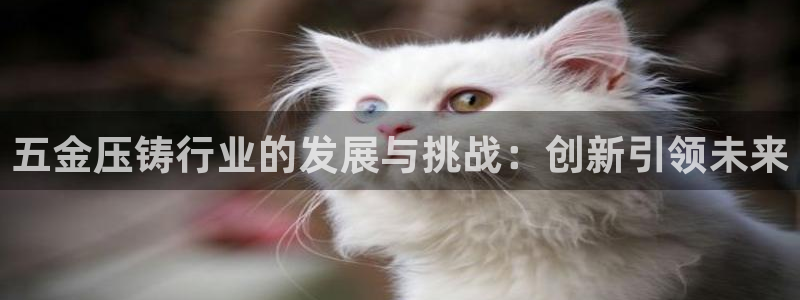 云顶国际集团官网