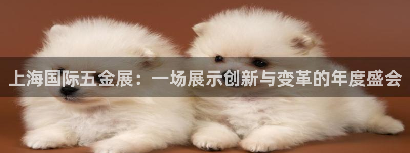云顶国际服s9赛季什么时候出的