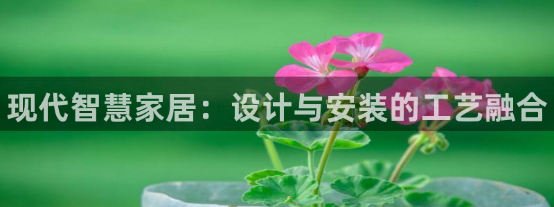 云顶集团有限公司简介