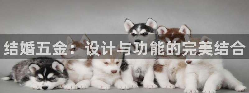 云顶国际商务会所电话