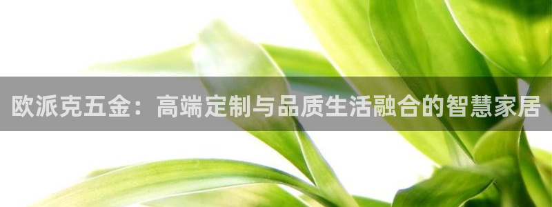 太原云顶国际老板
