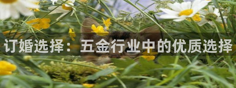 云顶国际服和美服通的吗
