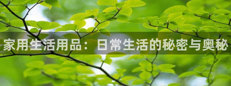云顶国际前台电话