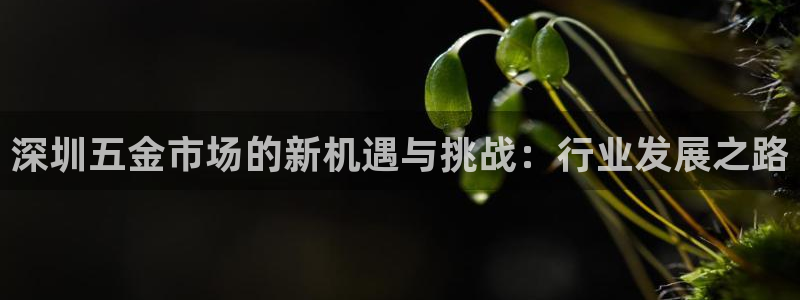 云顶国际平台送彩金58