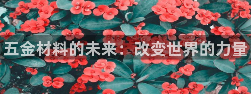 云顶国际能提现吗安卓