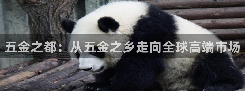 云顶国际AB网