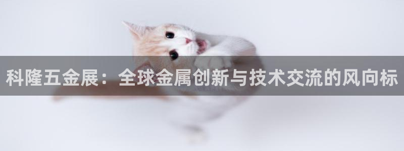 云顶电子游戏app
