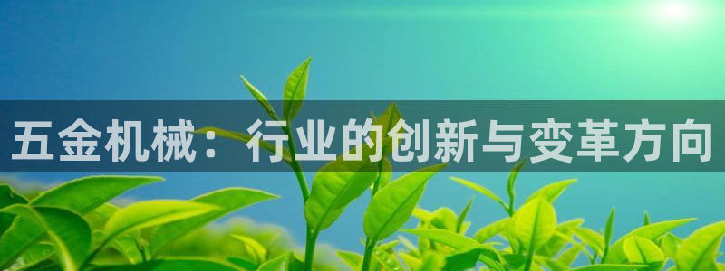 云顶国际能提现吗安卓