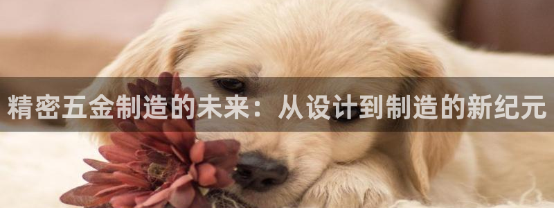 云顶官网网址
