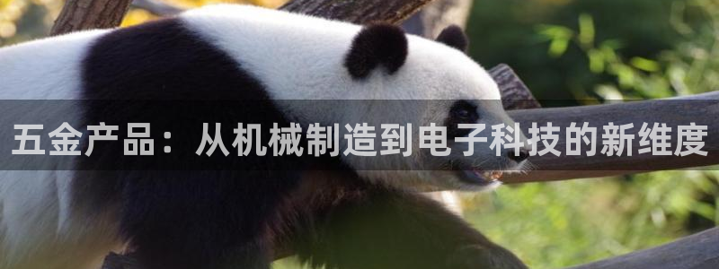 云顶国际图片