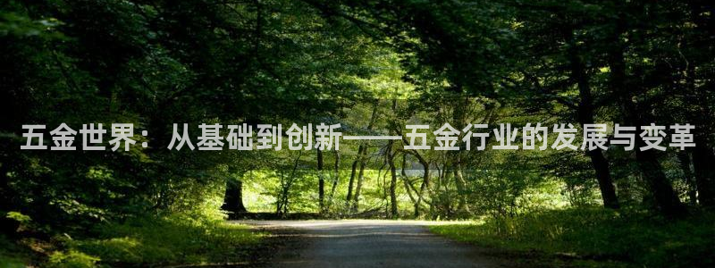 云顶国际服mac汉化