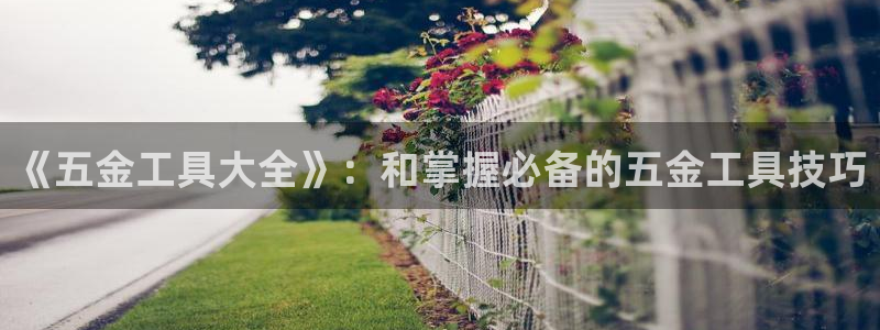 云顶国际--行业领导品牌