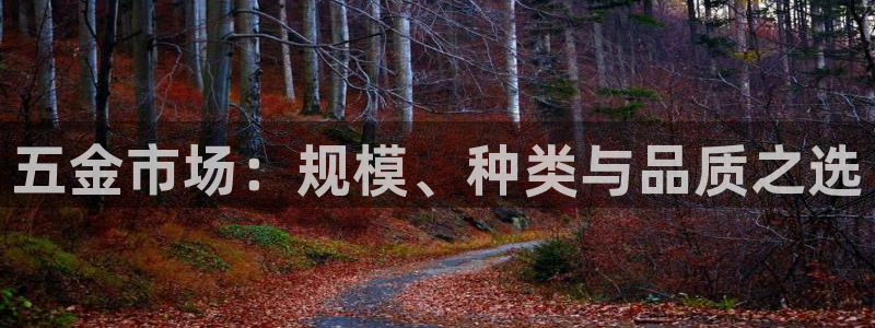云顶国际平台游戏可靠吗