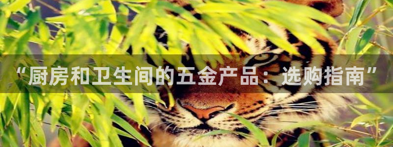 云顶国际麻将胡了多少张牌