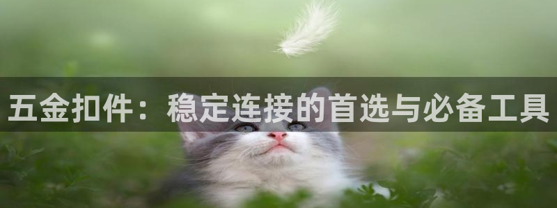 云顶集团简介和历史