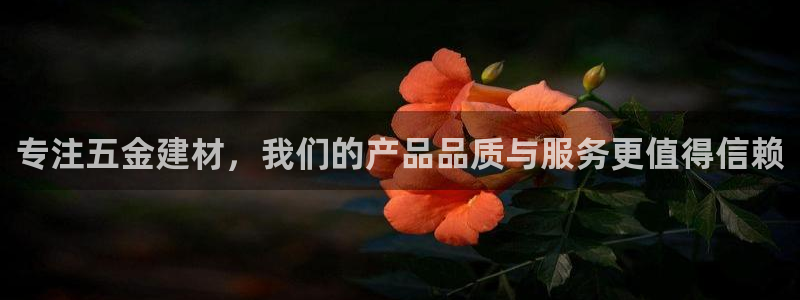 云顶国际服汉化