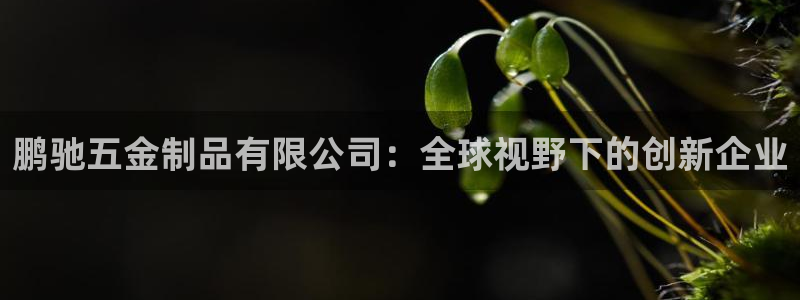 云顶手游国际版