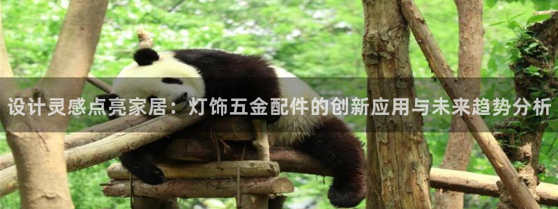 云顶dl