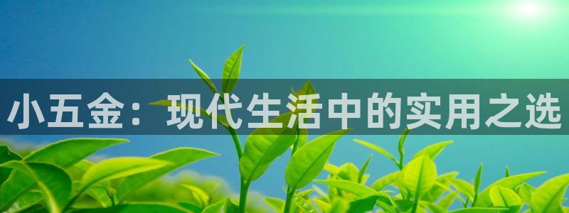 云顶国际官方网站下载手机版