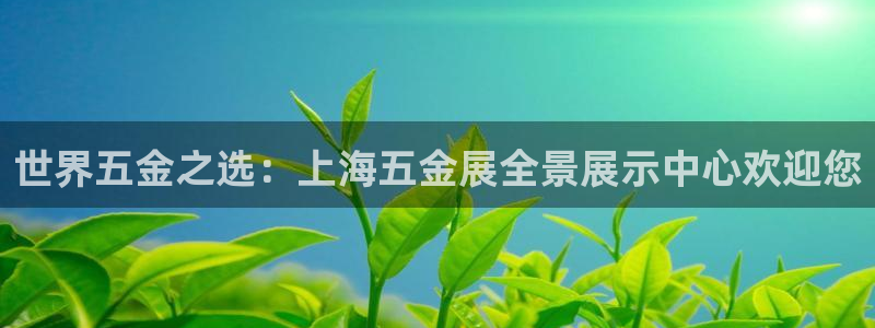 云顶国际提现
