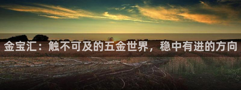 云顶国际服下载