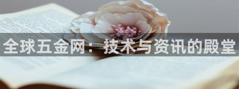 云顶集团网站多少钱一个