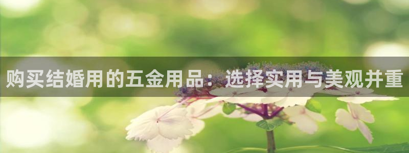 云顶国际提现不到账
