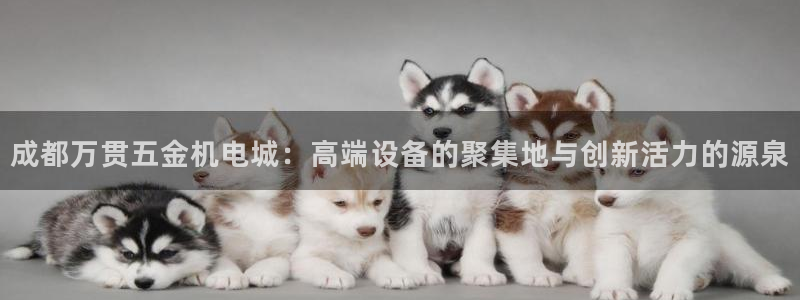 云顶集团老总个人资料