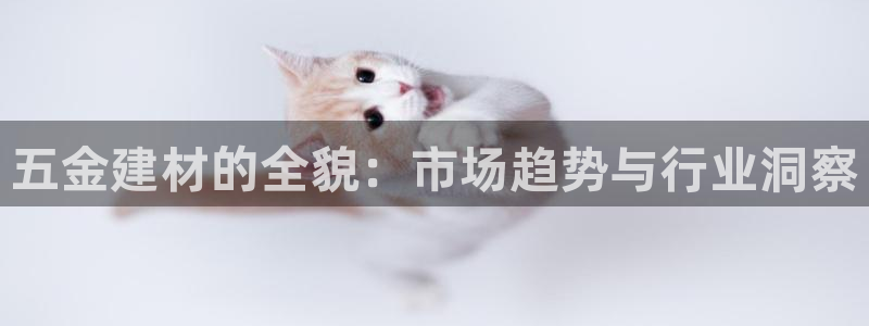 云顶国际平台游戏官网入口