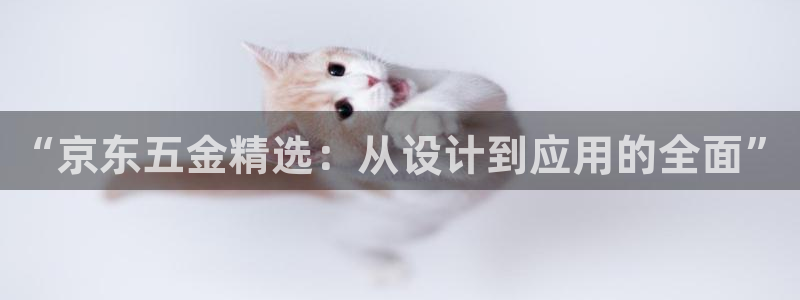 云顶国际集团 深圳