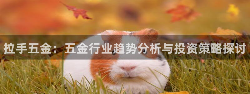 云顶小学国际班学费