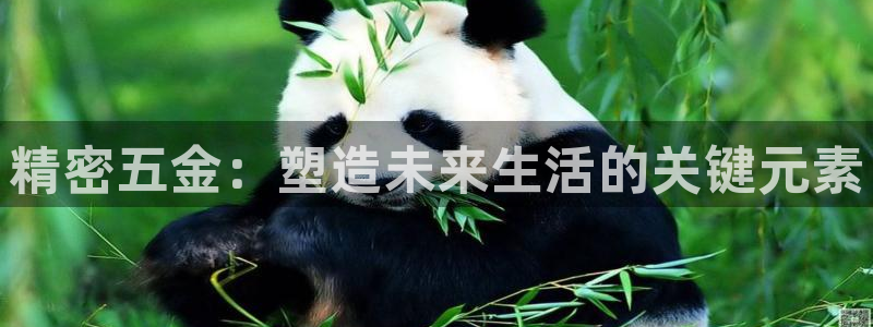 云顶国际的网址是多少啊