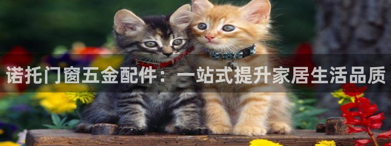 云顶国际实业有限公司