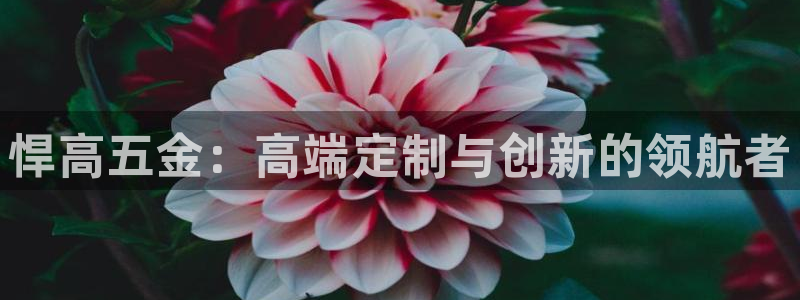 云顶国际服加速器