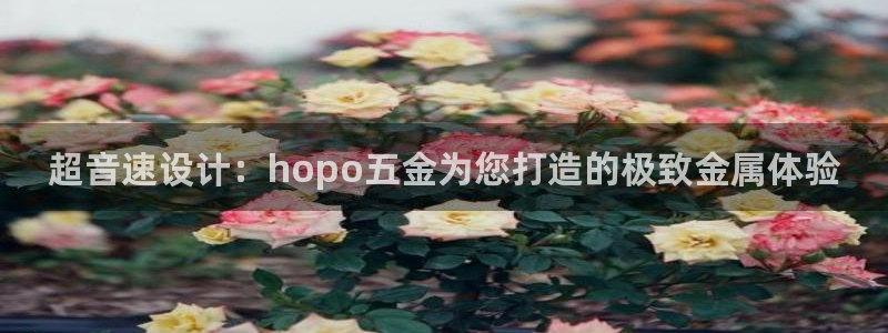 云顶国际集团游戏