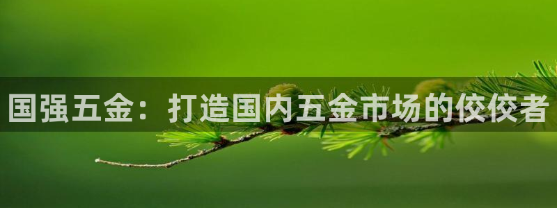 云顶国际服服务端错误