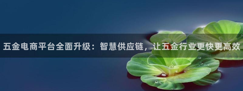 云顶国际平台app