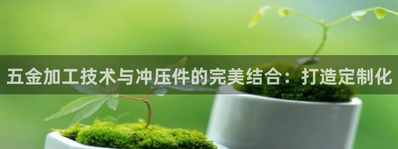 云顶国际旅行社官网