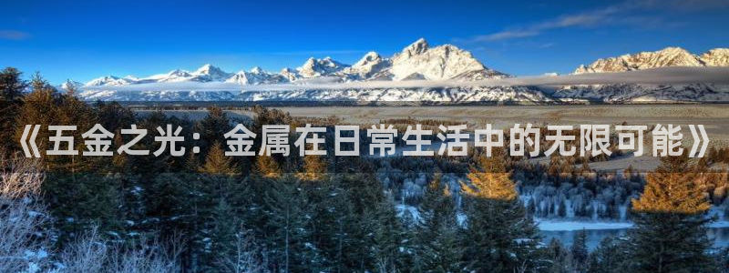 云顶集团公司董事长是谁